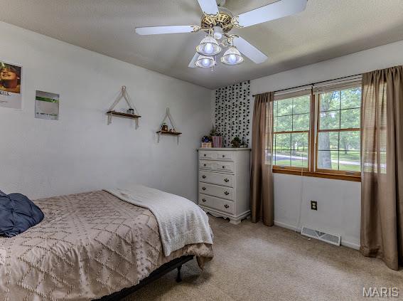 20150 Southwest Oakwood Drive Lebanon, MO 65536 - Photo 38 of 87