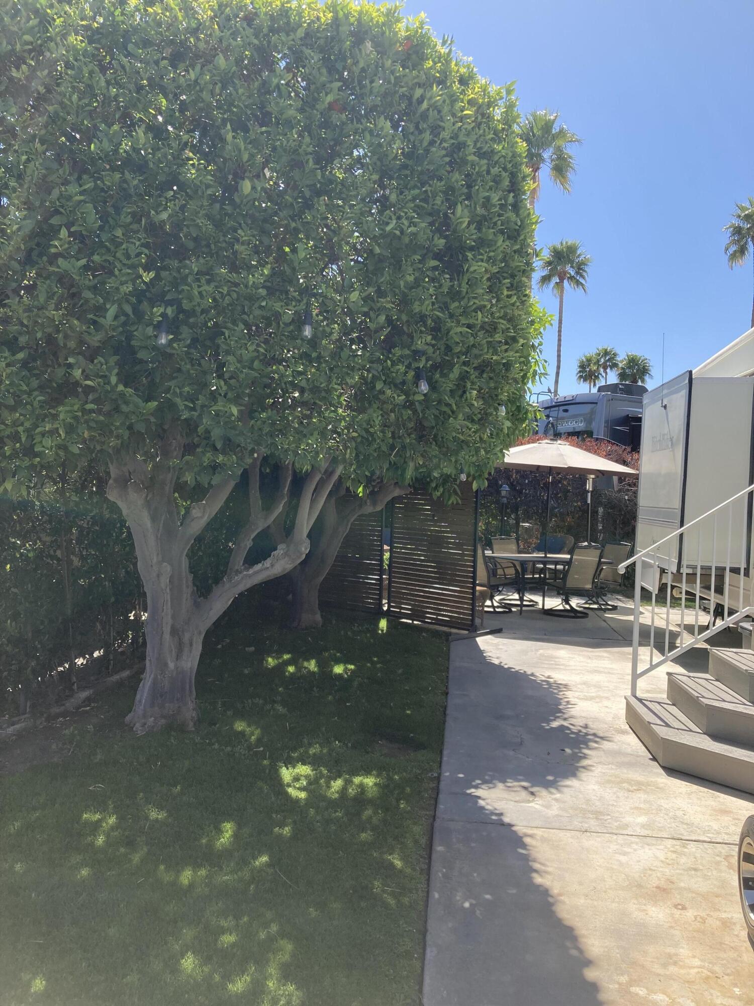 69411 Ramon Road, Unit 71 Cathedral City, CA 92234 - Photo 12 of 12 IMG_2394