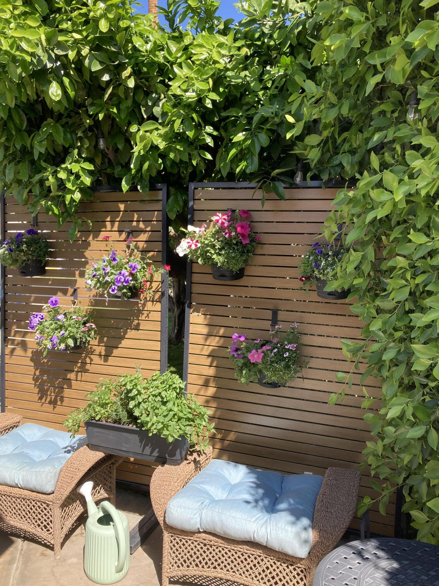 69411 Ramon Road, Unit 71 Cathedral City, CA 92234 - Photo 5 of 12 IMG_2392