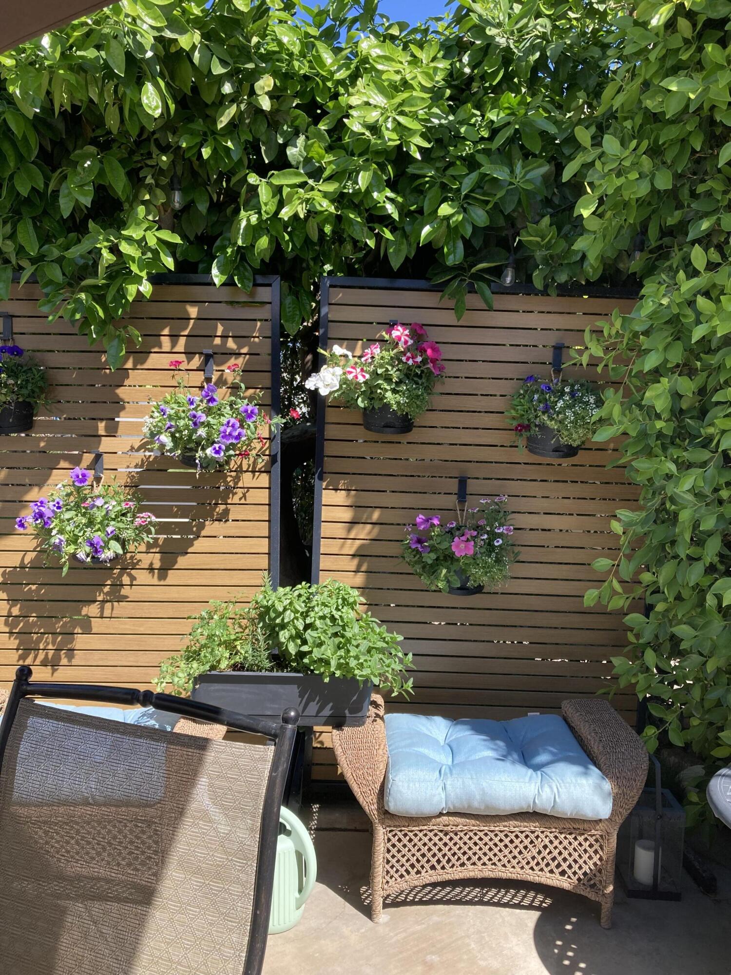 69411 Ramon Road, Unit 71 Cathedral City, CA 92234 - Photo 6 of 12 IMG_2391