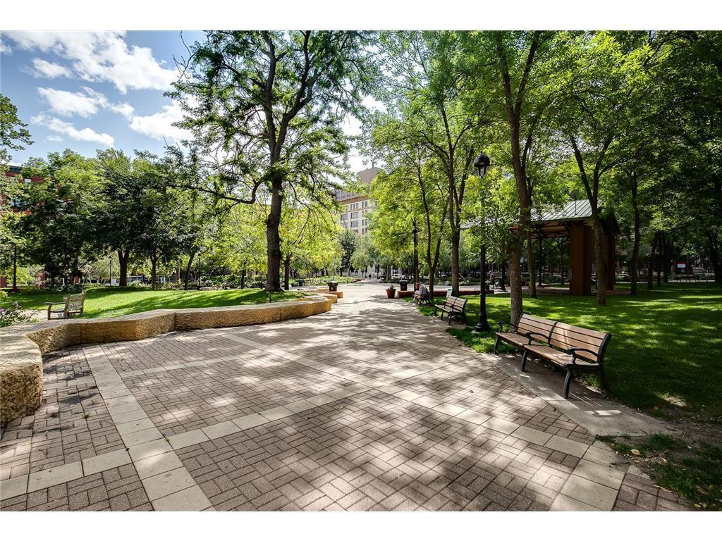 312 Spring Street, Unit 309 St. Paul, MN 55102 - Photo 43 of 44