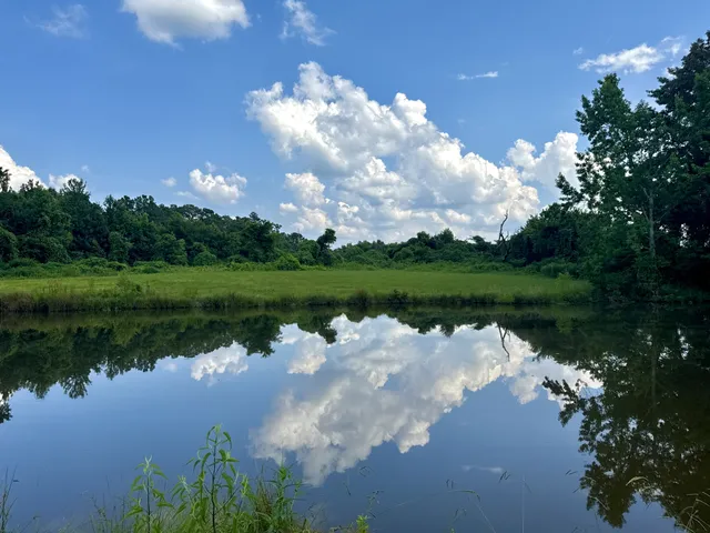 a view of lake with green space