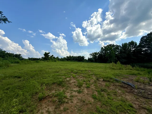 a view of a big yard