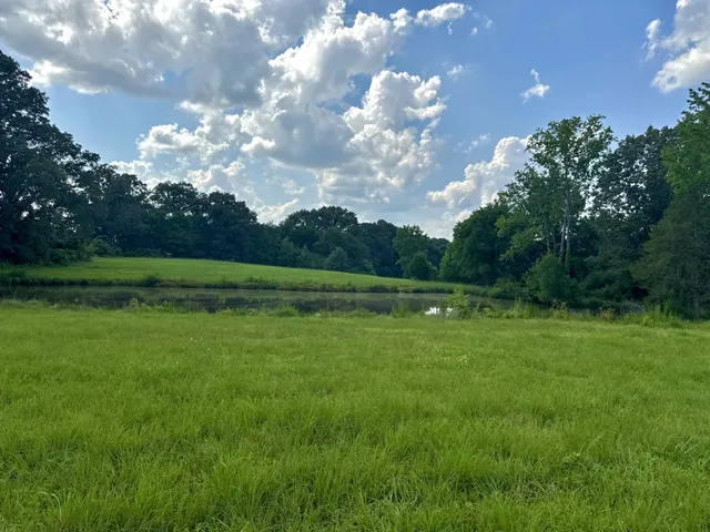 a view of a golf course with a lake