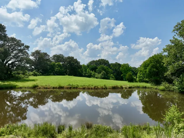 a view of a lake with a big yard