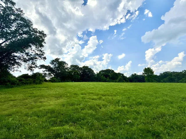a view of a big yard with lots of green space