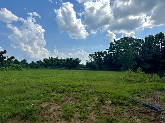 a view of field with trees in the background
