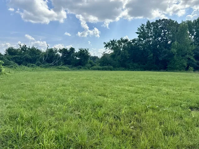 a view of field with trees in the background