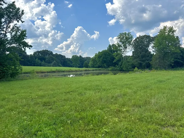 a view of outdoor space with green field and trees