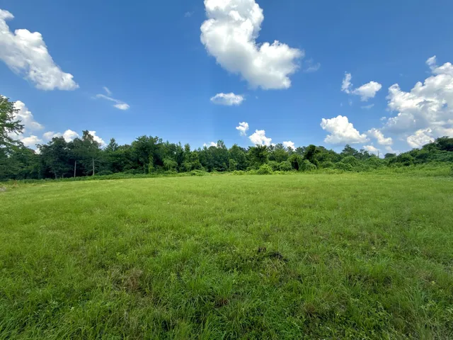 a view of a big yard with lots of green space and fountain