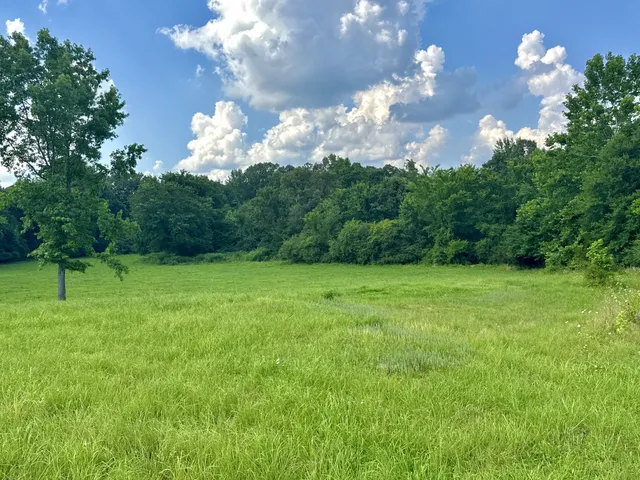 a backyard of a house with lots of green space