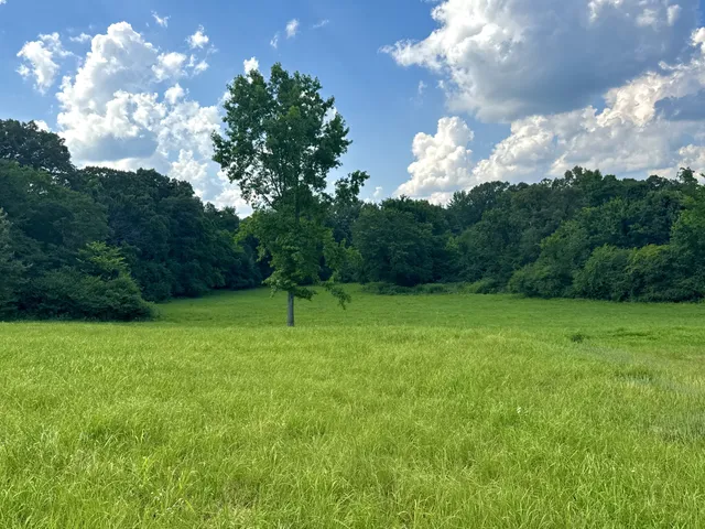 a backyard of a house with lots of green space