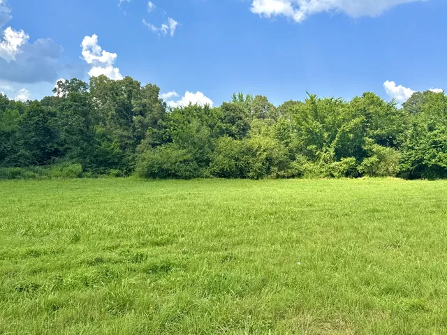 a view of a grassy field with trees in the background