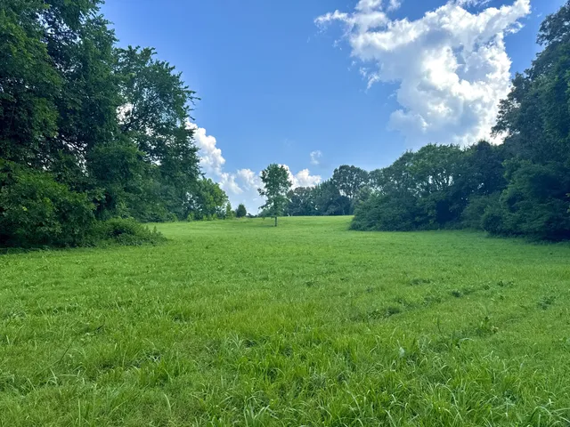 a view of a golf course with green space