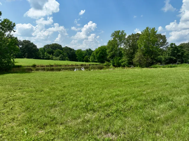 a view of a garden with a house