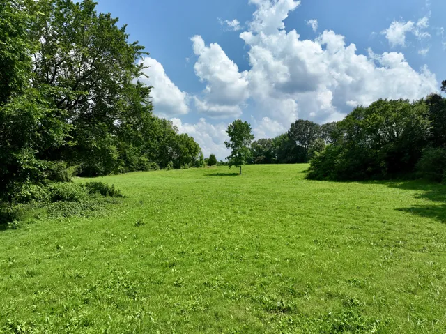 a view of a field of grass and trees