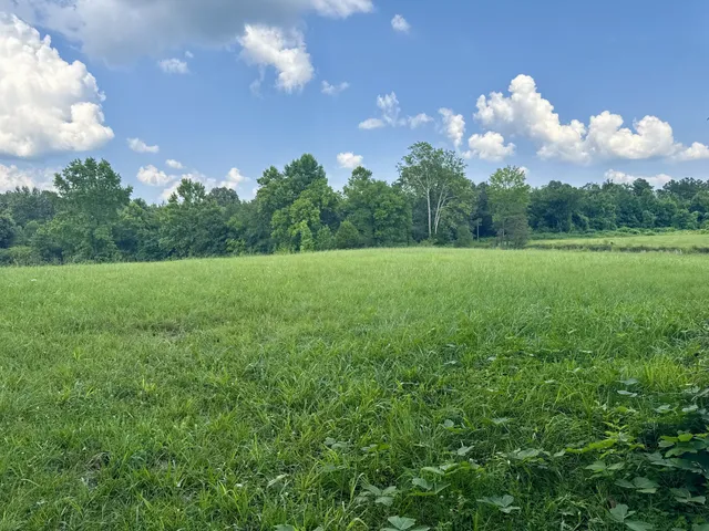 a view of an outdoor space and a yard