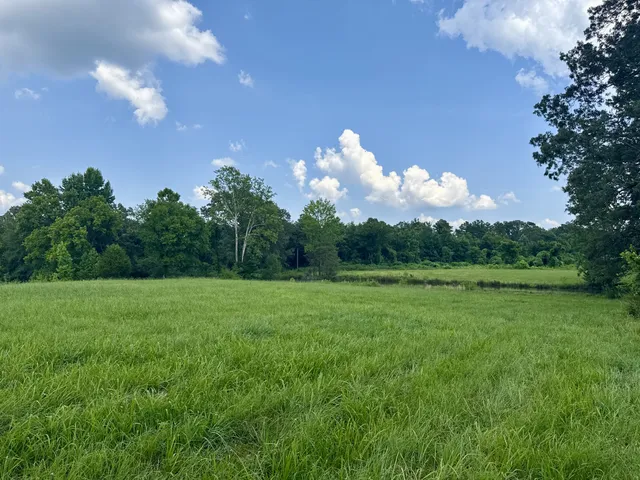 a view of a big yard