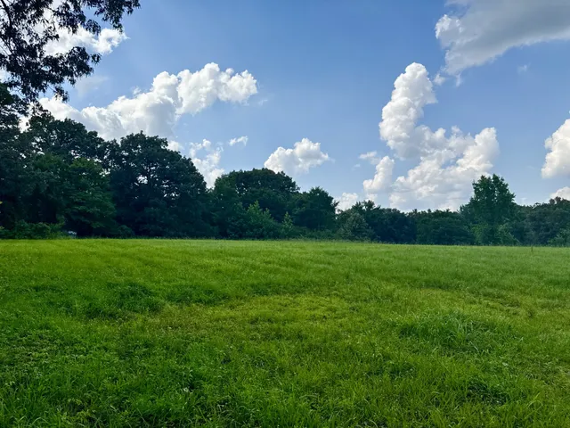 a view of a big yard with large trees