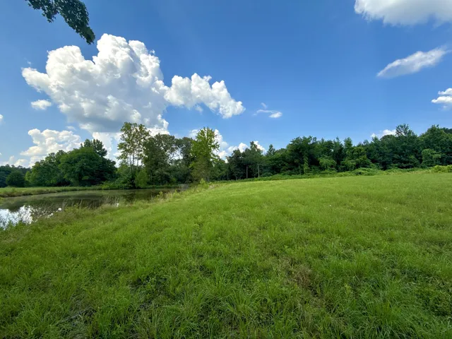 a view of a golf course with a lake