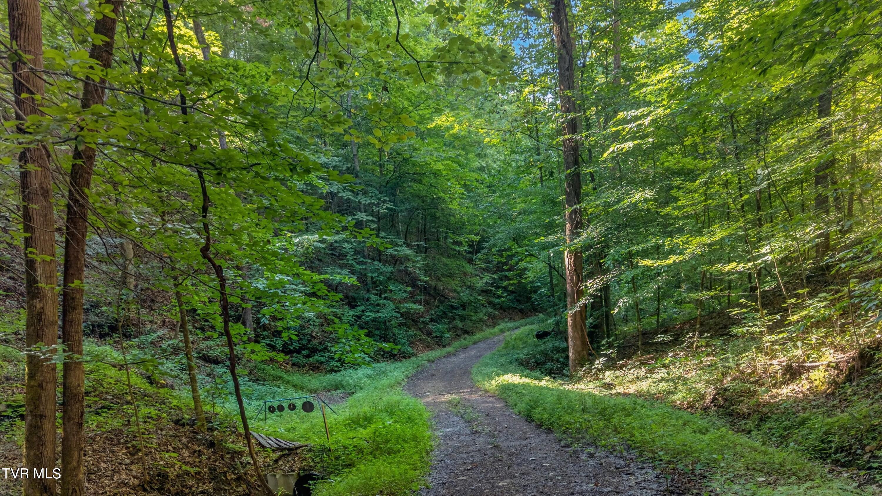 7020 Caney Valley Road Tazewell, TN 37879 - Photo 58 of 61 057-7020CaneyValleyRoad-Tazewell-TN-3787