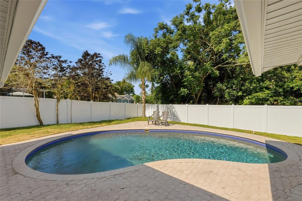 239 Myrtle Court Palm Harbor, FL 34683 - Photo 27 of 34