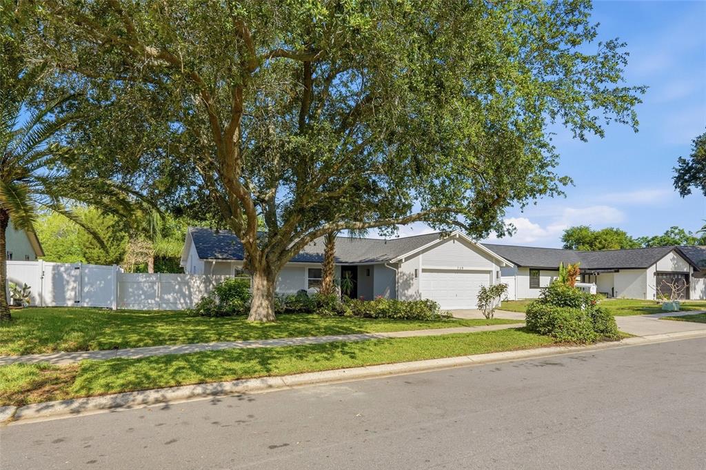 239 Myrtle Court Palm Harbor, FL 34683 - Photo 31 of 34