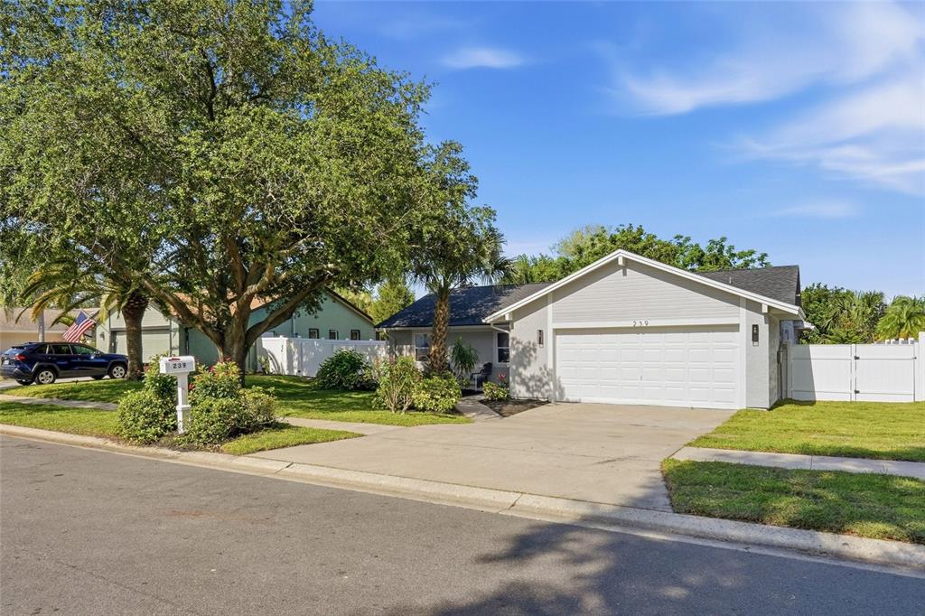 239 Myrtle Court Palm Harbor, FL 34683 - Photo 32 of 34