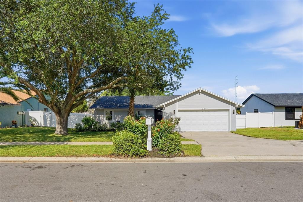 239 Myrtle Court Palm Harbor, FL 34683 - Photo 33 of 34