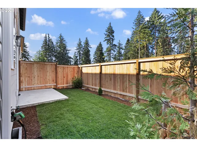 a view of a backyard with potted plants and a large tree