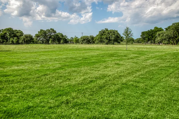 a view of a grassy field with trees