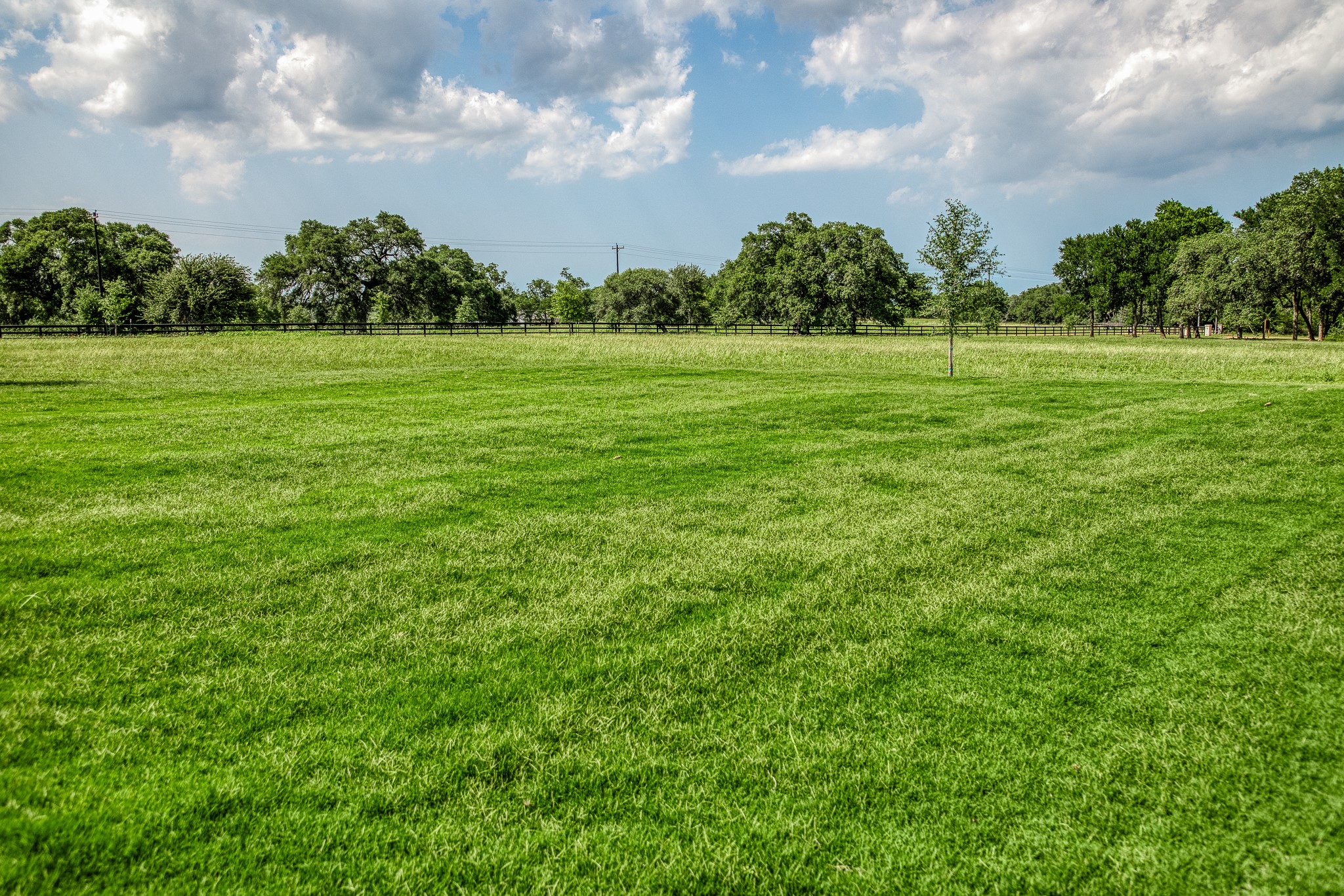 4961 Hartfield Road Round Top, TX 78954 - Photo 31 of 33 a view of a grassy field with trees