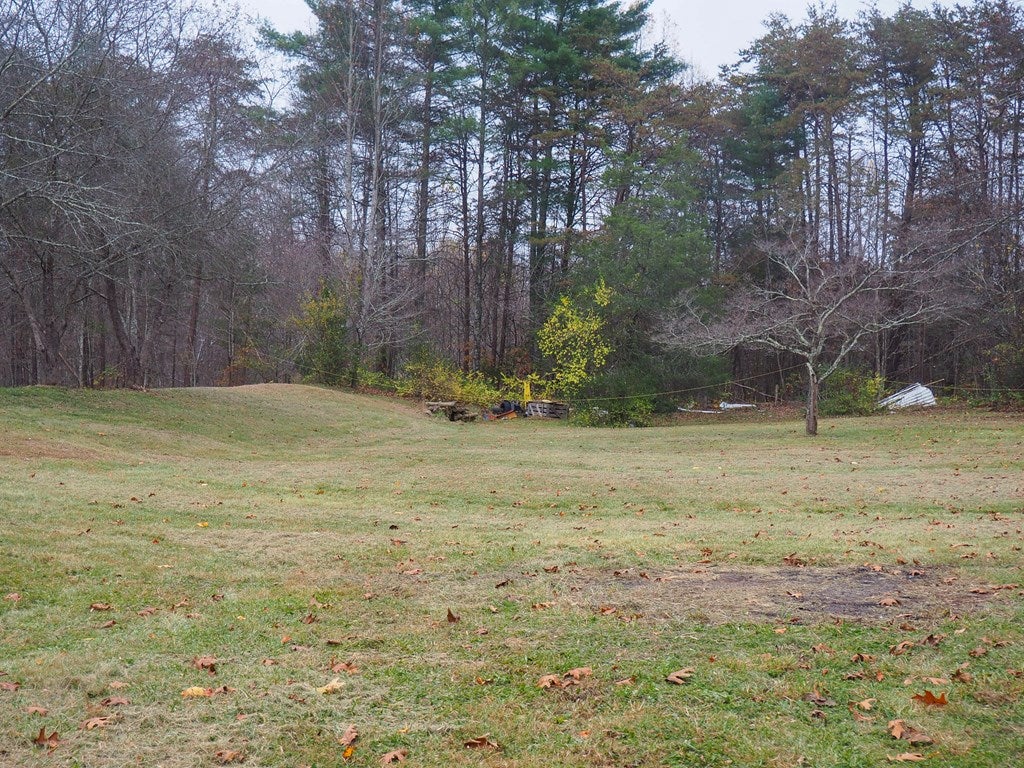 357 Lone Ash Road Barren Springs, VA 24313 - Photo 7 of 25 Gallery Image 7