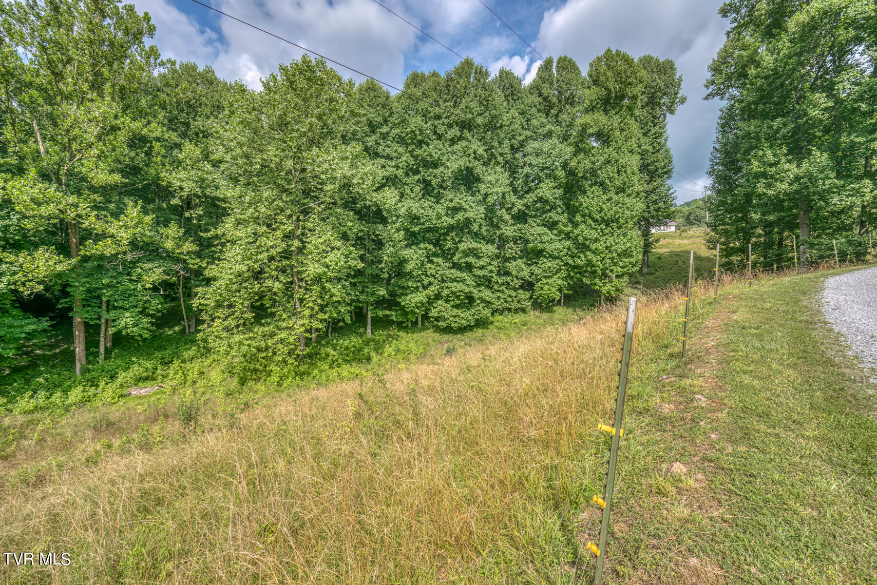 155 Stout Hollow Road Hampton, TN 37658 - Photo 54 of 65 155 Stout Hollow Rd-38