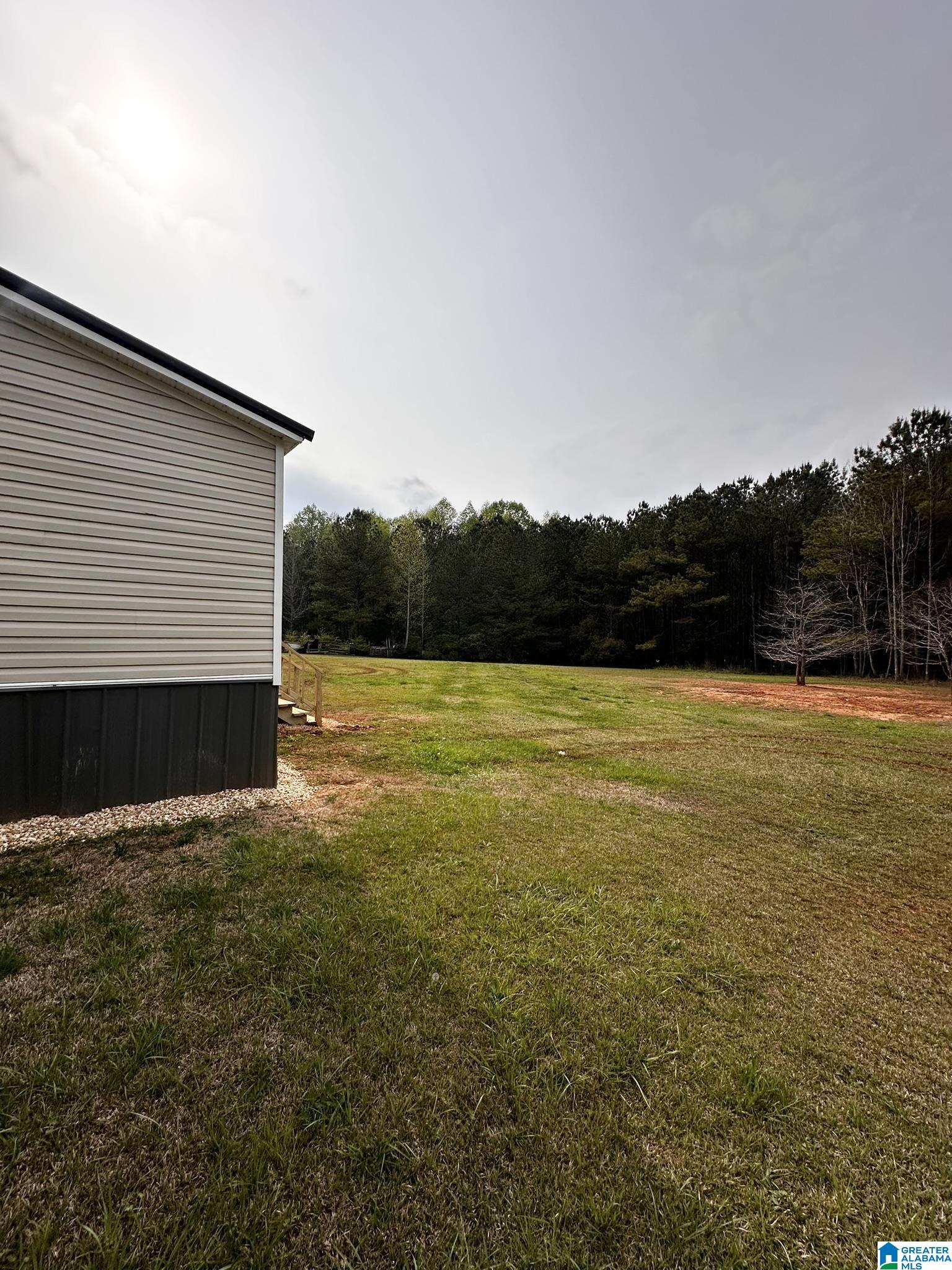 2160 Louina Road Roanoke, AL 36274 - Photo 40 of 45