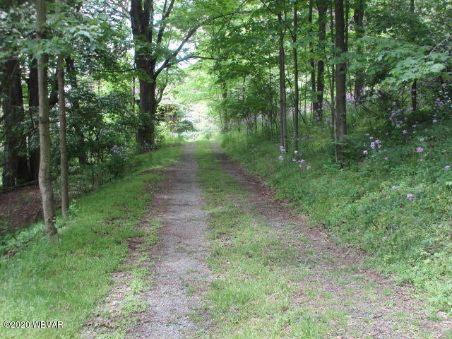 1406 Winner Road Williamsport, PA 17701 - Photo 3 of 3 Gallery Image 3