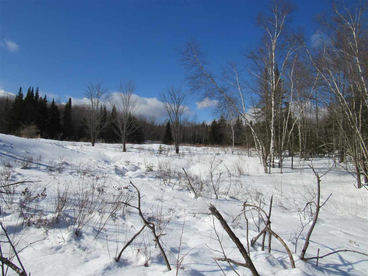 20 Beadle Hill Road Jay, VT 05859 - Photo 2 of 9 Gallery Image 2