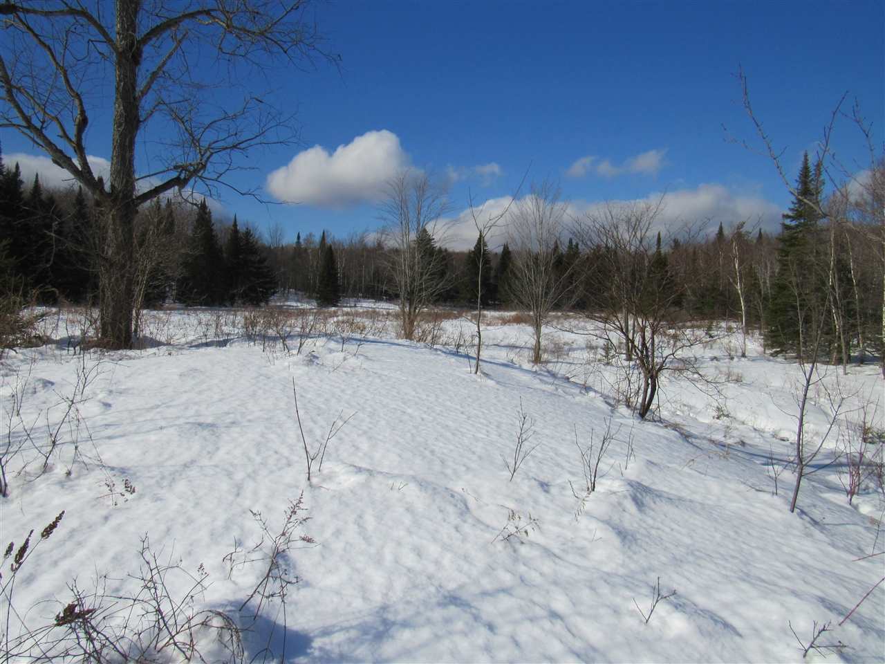 20 Beadle Hill Road Jay, VT 05859 - Photo 3 of 9 Gallery Image 3