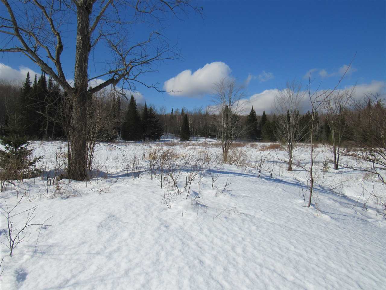 20 Beadle Hill Road Jay, VT 05859 - Photo 4 of 9 Gallery Image 4