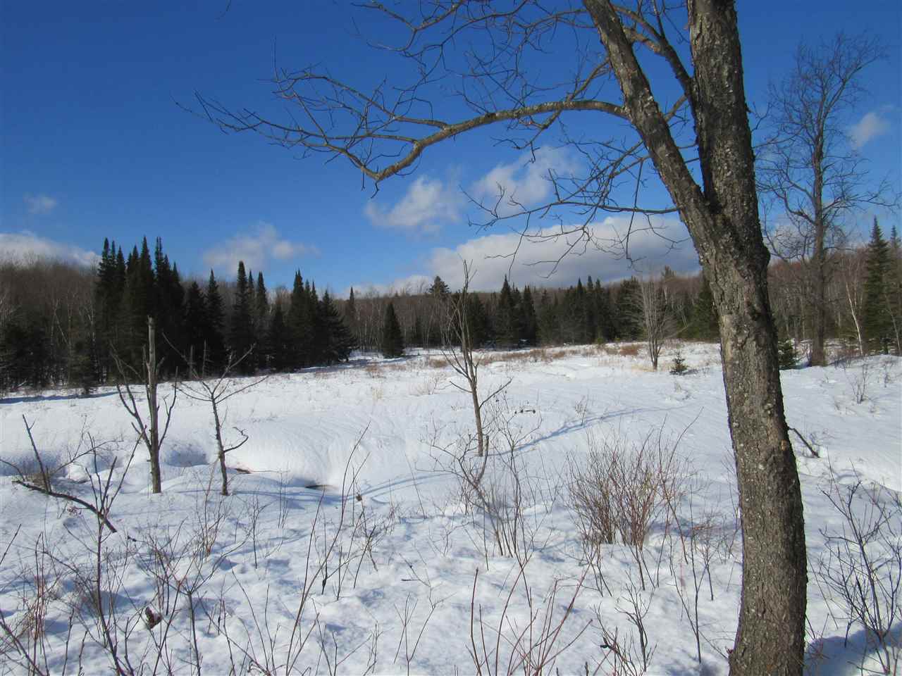 20 Beadle Hill Road Jay, VT 05859 - Photo 5 of 9 Gallery Image 5