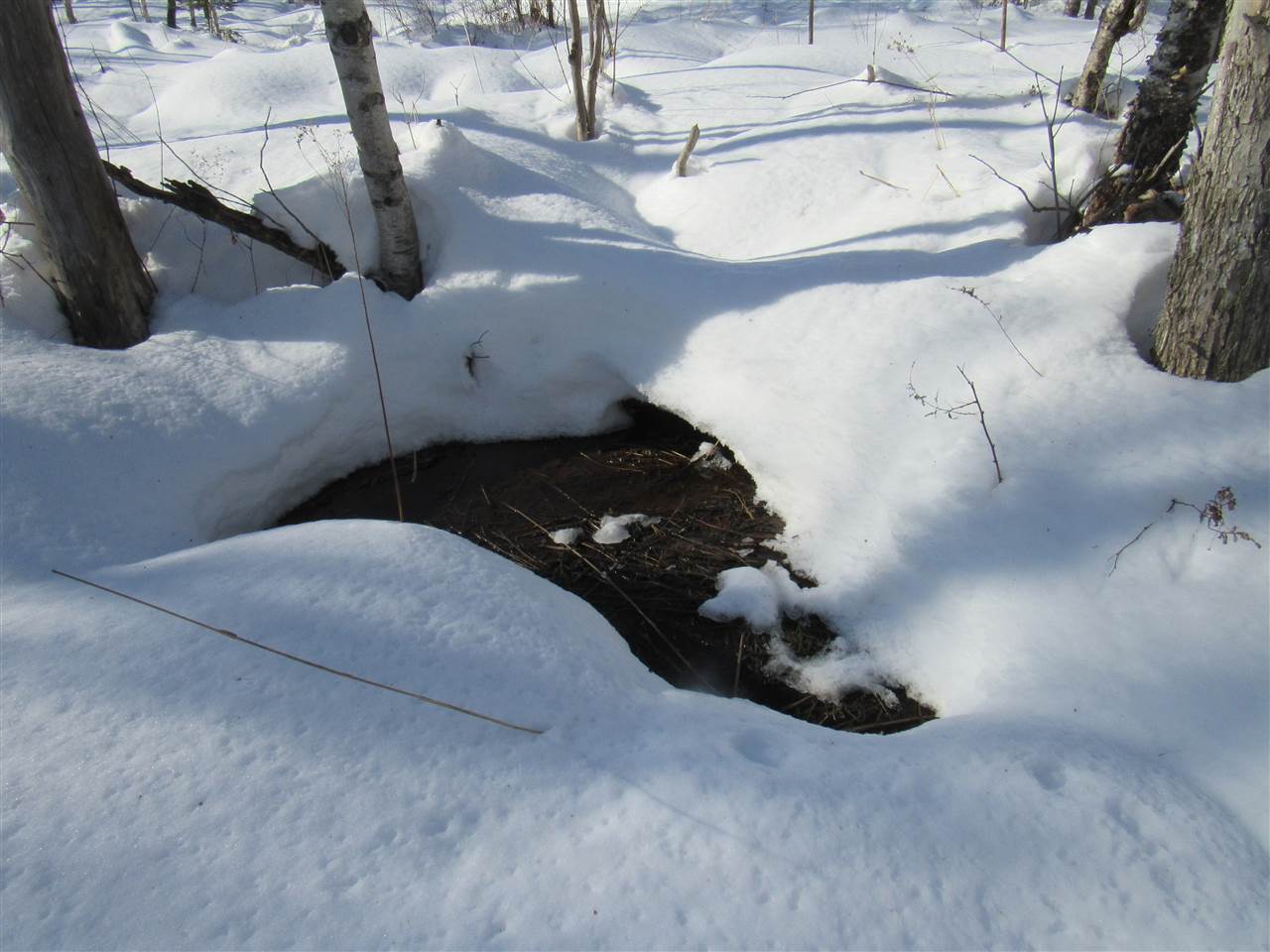 20 Beadle Hill Road Jay, VT 05859 - Photo 6 of 9 Gallery Image 6