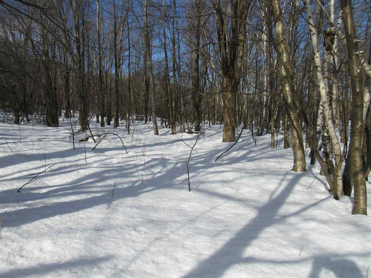 20 Beadle Hill Road Jay, VT 05859 - Photo 7 of 9 Gallery Image 7