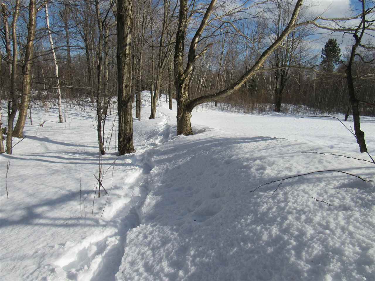 20 Beadle Hill Road Jay, VT 05859 - Photo 8 of 9 Gallery Image 8
