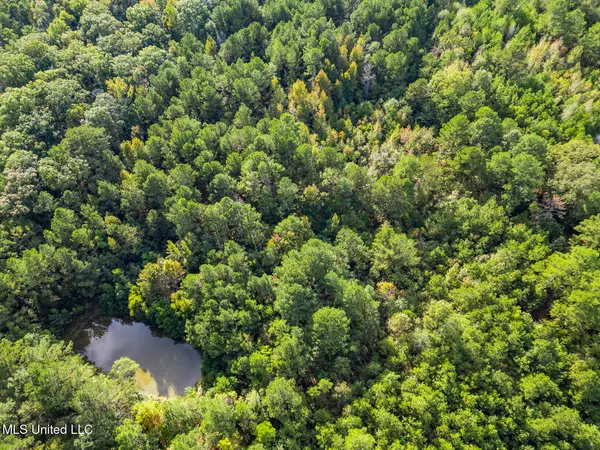 $380,000 | 2049 Cleary Road, Florence, MS 39073