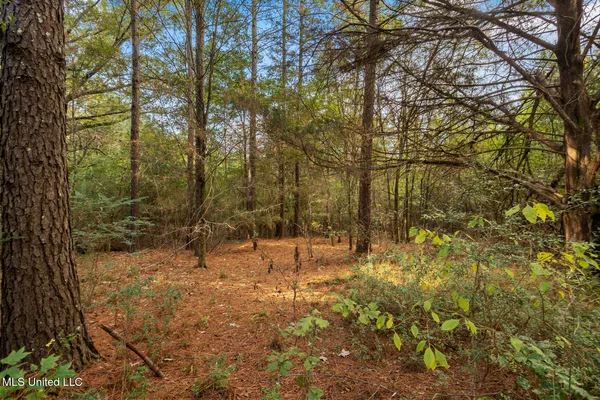 $380,000 | 2049 Cleary Road, Florence, MS 39073