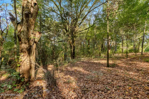 $380,000 | 2049 Cleary Road, Florence, MS 39073