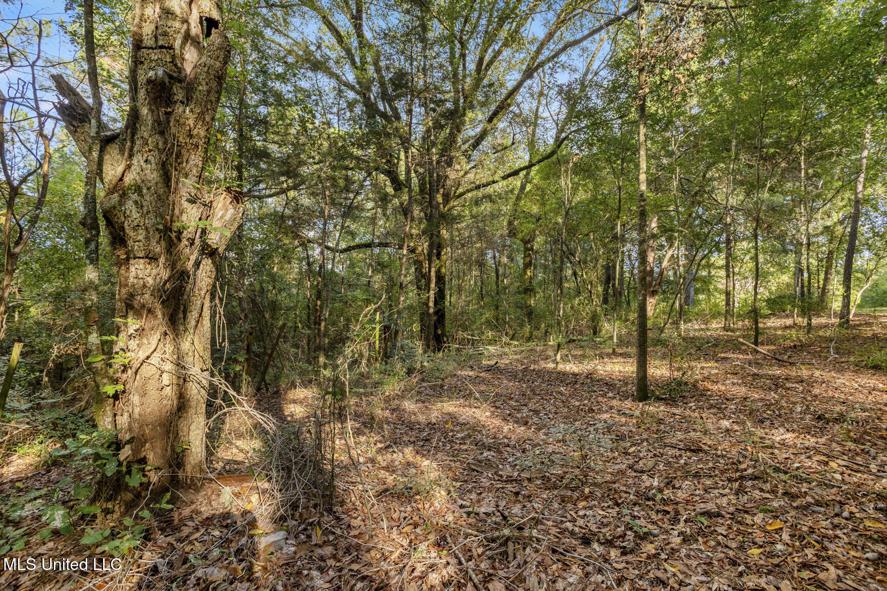 2049 Cleary Road Florence, MS 39073 - Photo 8 of 29 2049 Cleary Rd-24