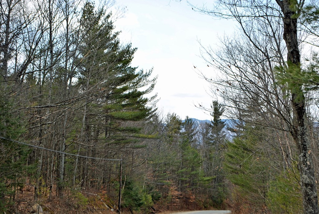 0 Grove Road Au Sable Forks, NY 12912 - Photo 8 of 11 Gallery Image 8