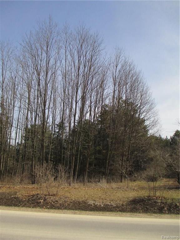 Parcel 1 Duffield Byron, MI 48418 - Photo 3 of 3