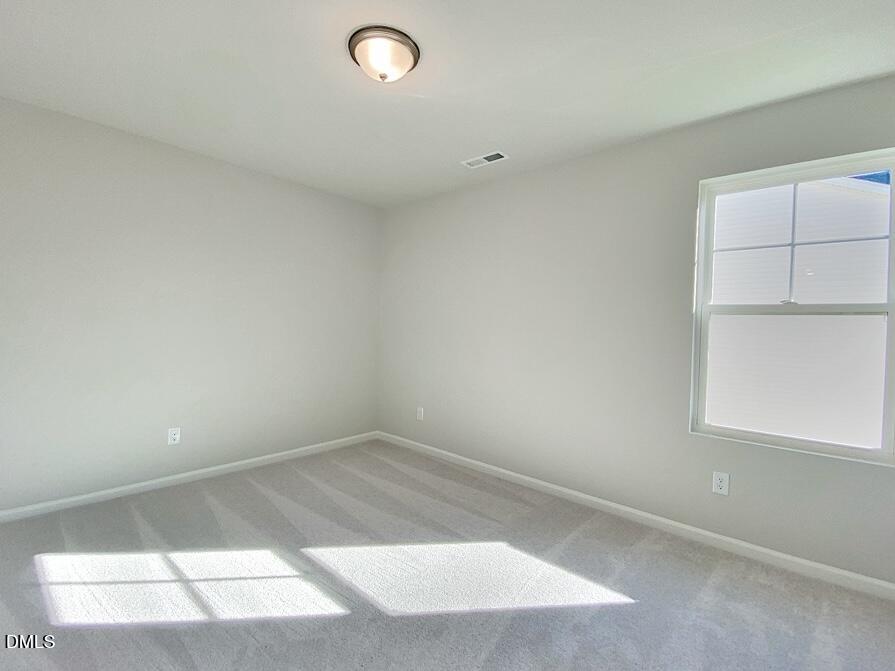 4041 Mount Moran Road Raleigh, NC 27616 - Photo 17 of 20 IMG_7501